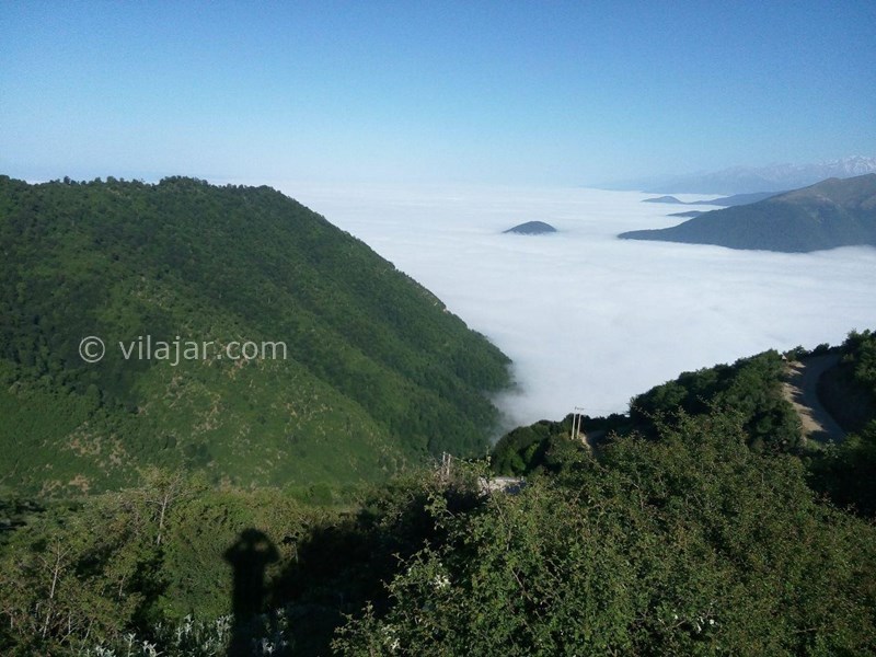 عکس شماره 664594 - اجاره اقامتگاه رامسر جنگل دالخانی - 