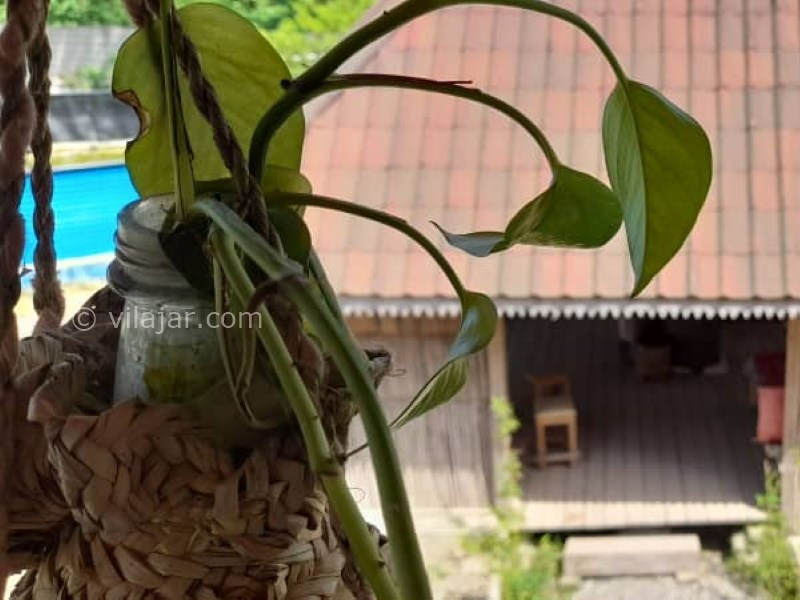 عکس شماره 666432 - اقامتگاه بوم گردی سرای فخر - 