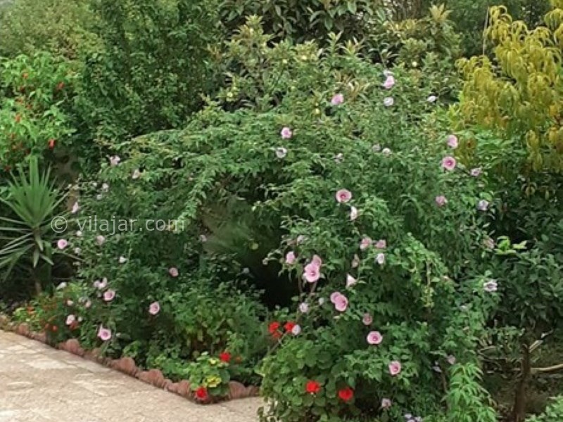 عکس شماره 666606 - اجاره ویلا با استخر روباز آبگرم نوشهر - 