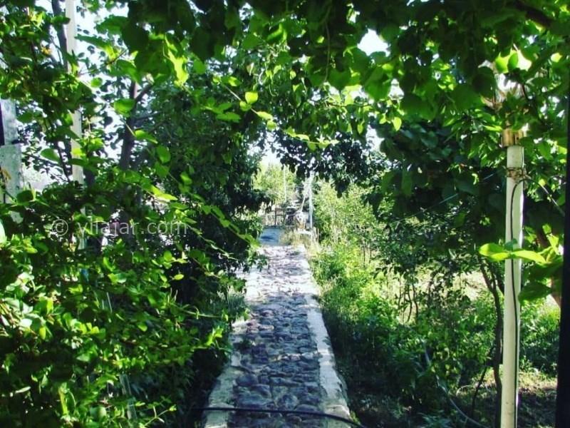 عکس شماره 666727 - خانه مسافر باغ سبز - 