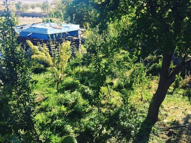 عکس شماره 666728 - خانه مسافر باغ سبز - 