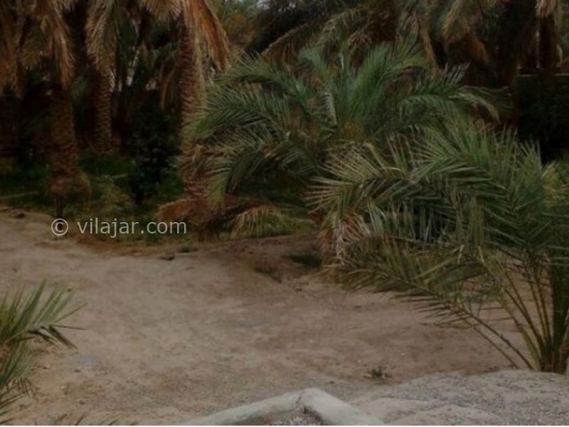 عکس شماره 667718 - اقامتگاه بوم گردی آفتاب ریگان -