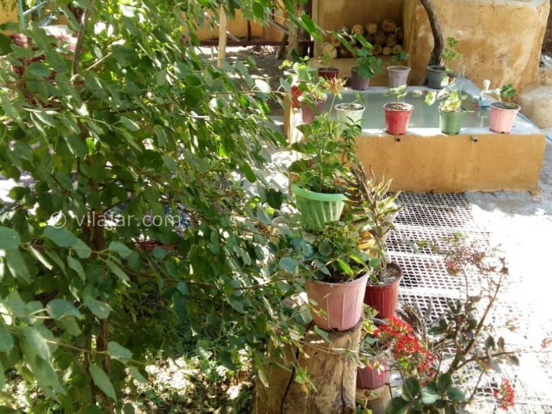 عکس شماره 670491 - اقامتگاه بوم گردی باران رویین - 