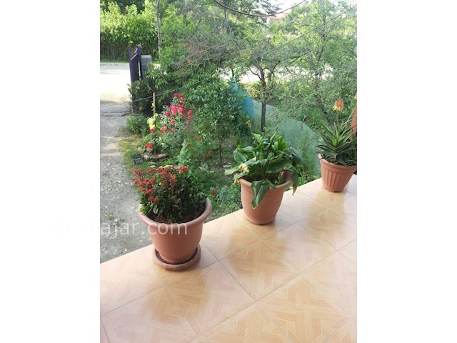 عکس شماره 67105 - اجاره ویلا در ماسال - 