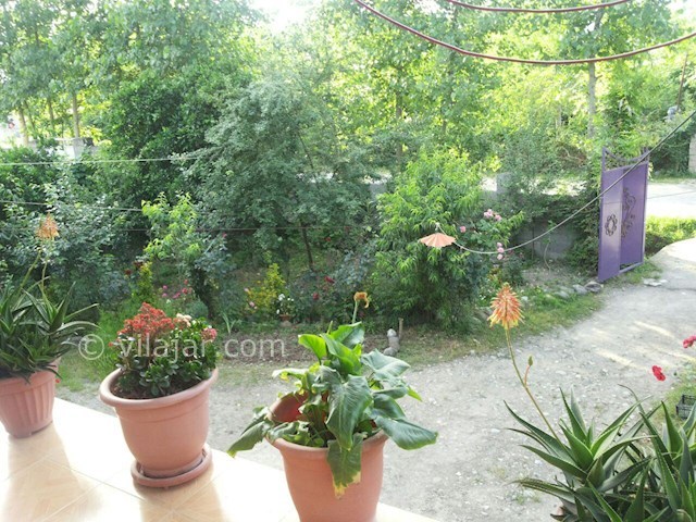 عکس شماره 67111 - اجاره ویلا در ماسال - 