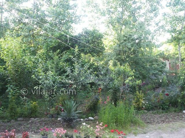 عکس شماره 67113 - اجاره ویلا در ماسال - 