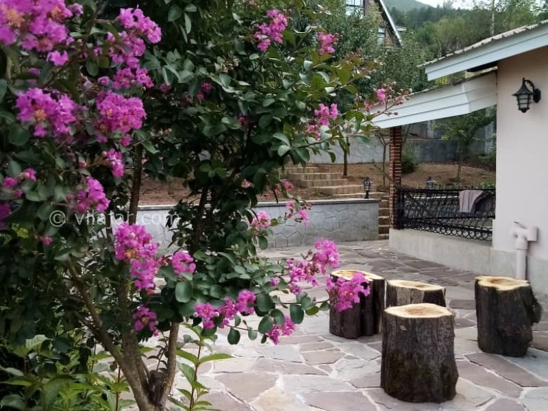 عکس شماره 671288 - اجاره ویلا روستیک جنگلی در کلاردشت - 