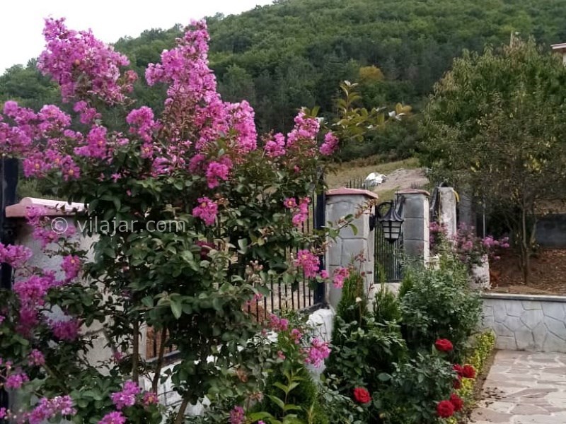 عکس شماره 671318 - اجاره ویلا روستیک جنگلی در کلاردشت - 