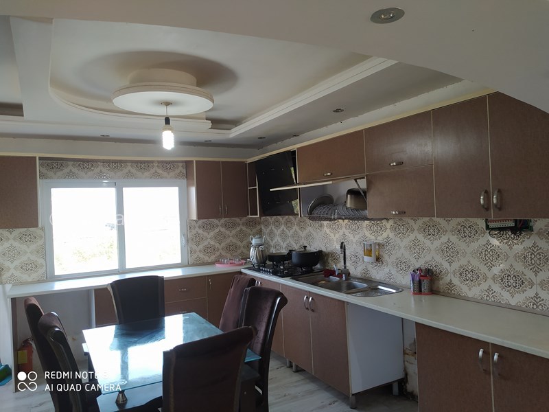 عکس شماره 672384 - اجاره ویلا استخردار در شیرود - 