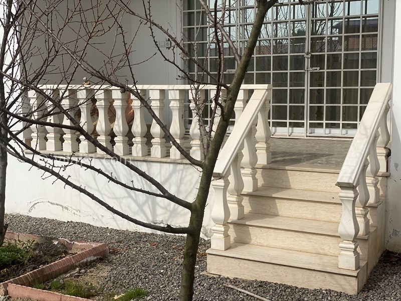 عکس شماره 672980 - اجاره ویلا در محمود آباد - تراس حیاط پشت ساختمان 