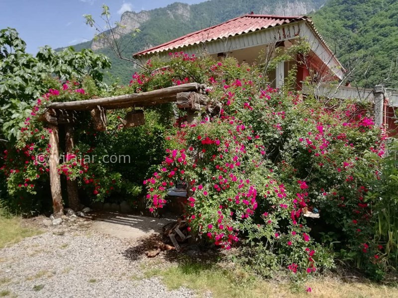 عکس شماره 674592 - ویلا ییلاقی جنگلی در جاده دوهزار -