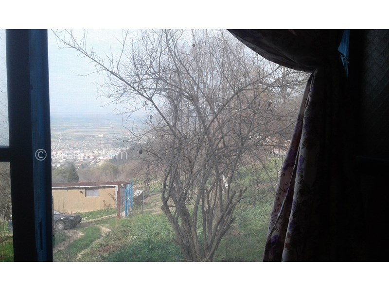 عکس شماره 677341 - خونه باغ مزرعه پدر بزرگ در بهشهر -