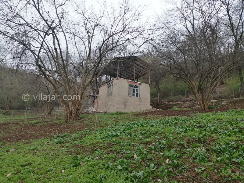 عکس شماره 677362 - خونه باغ مزرعه پدر بزرگ در بهشهر -