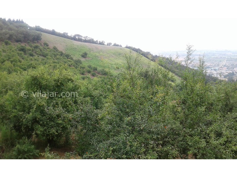 عکس شماره 677371 - خونه باغ مزرعه پدر بزرگ در بهشهر -