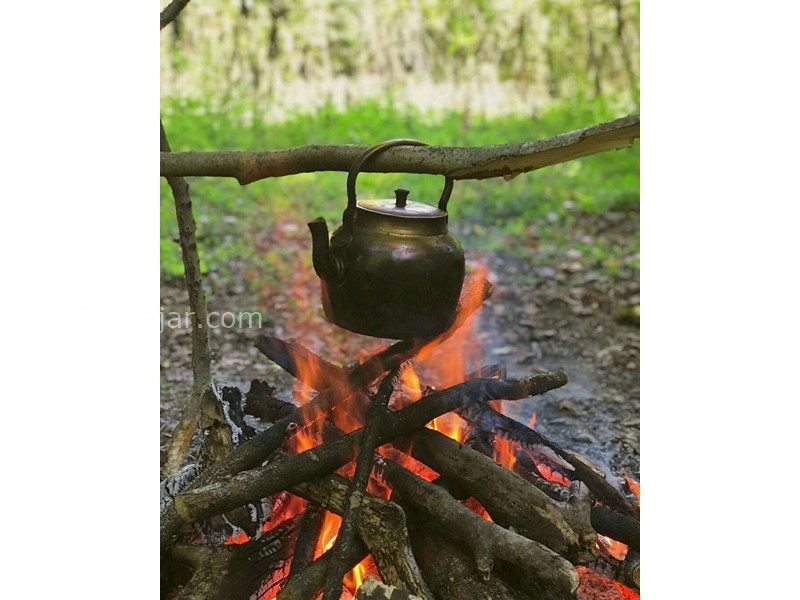 عکس شماره 677374 - خونه باغ مزرعه پدر بزرگ در بهشهر -