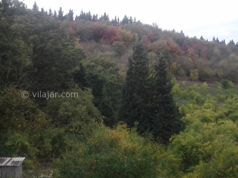 عکس شماره 677376 - خونه باغ مزرعه پدر بزرگ در بهشهر -