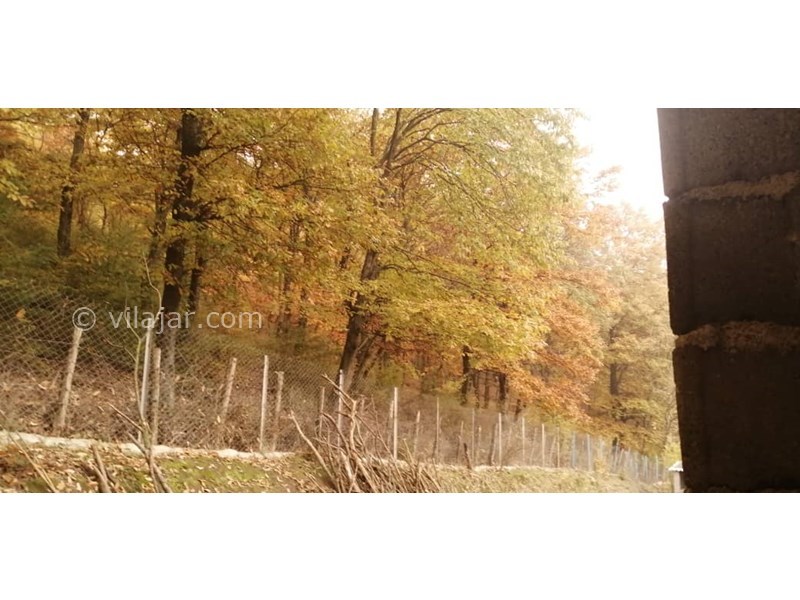 عکس شماره 677377 - خونه باغ مزرعه پدر بزرگ در بهشهر -