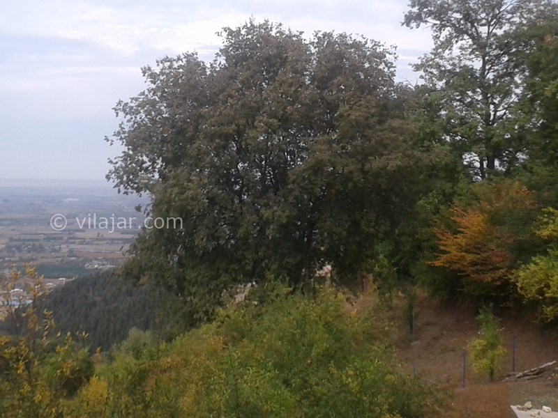 عکس شماره 677378 - خونه باغ مزرعه پدر بزرگ در بهشهر -