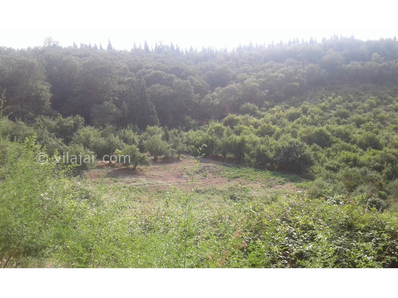 عکس شماره 677383 - خونه باغ مزرعه پدر بزرگ در بهشهر -