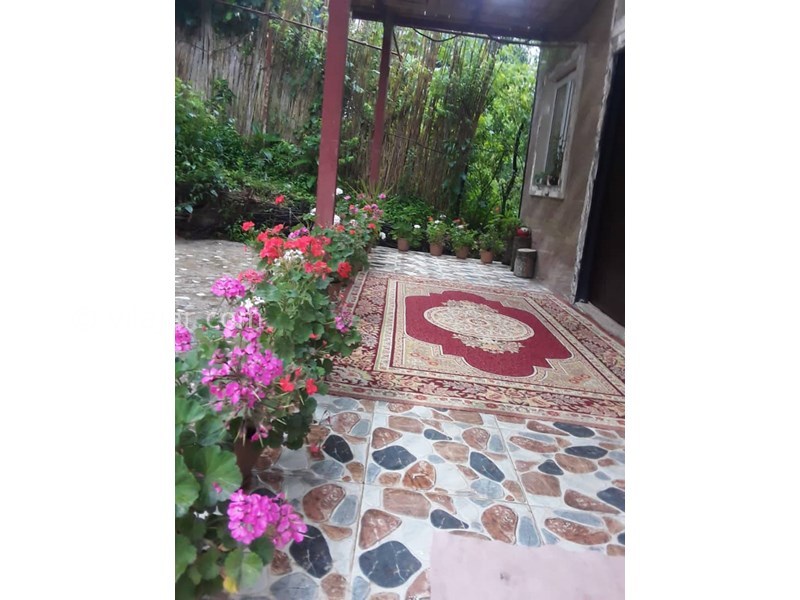 عکس شماره 677793 - اجاره ویلا جنگلی در ماسال - 