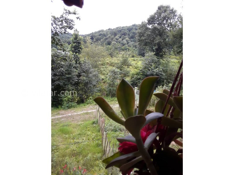 عکس شماره 677794 - اجاره ویلا جنگلی در ماسال - 