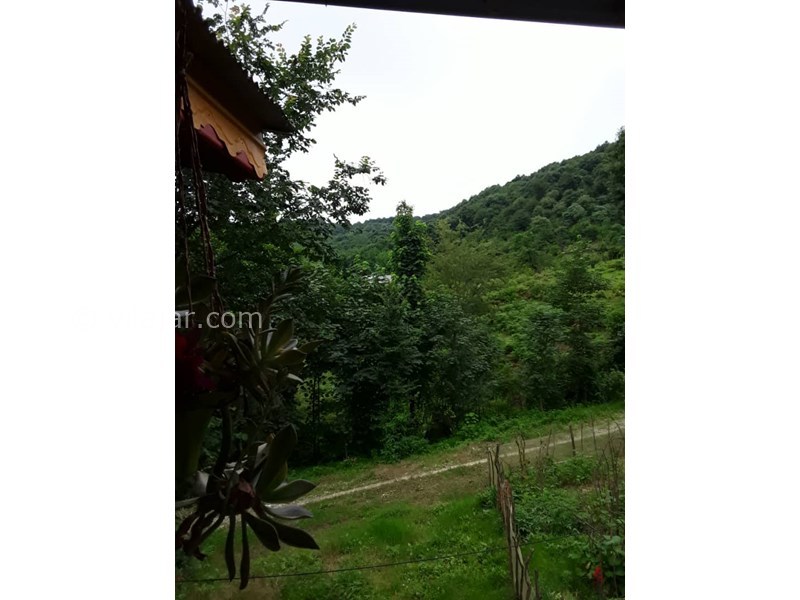 عکس شماره 677797 - اجاره ویلا جنگلی در ماسال - 