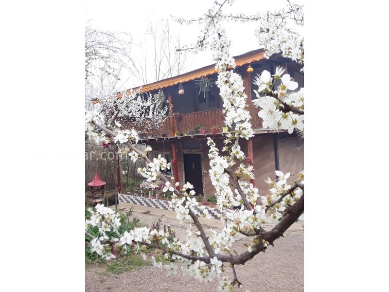 عکس شماره 677802 - اجاره ویلا جنگلی در ماسال - 