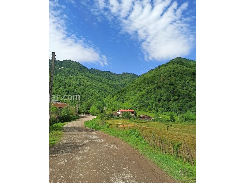 عکس شماره 678215 - اجاره ویلا جنگلی روستایی ماسال - نمای روستا 