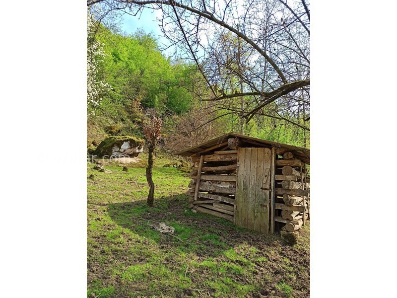 عکس شماره 678218 - اجاره ویلا جنگلی روستایی ماسال - کلبه تاریخی جنگل اختصاصی ویلا