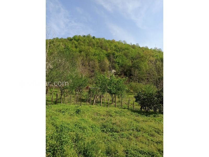 عکس شماره 678219 - اجاره ویلا جنگلی روستایی ماسال - چشم انداز پشت ویلا