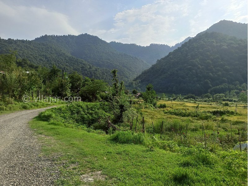 عکس شماره 678221 - اجاره ویلا جنگلی روستایی ماسال - کوچه ورودی ویلا