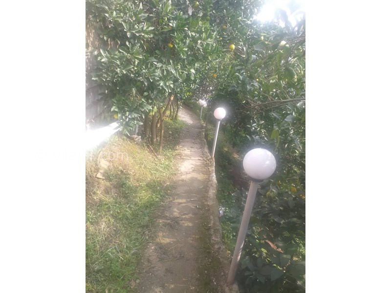 عکس شماره 678688 - اجاره ویلا جنگی نزدیک رامسر -