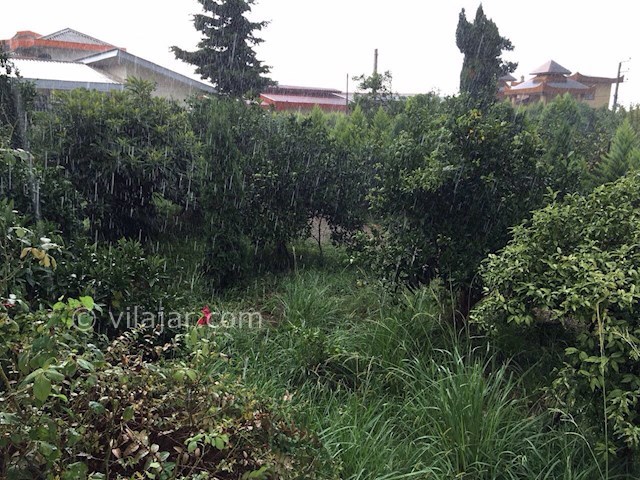 عکس شماره 68019 - اجاره ویلا در کلارآباد - 