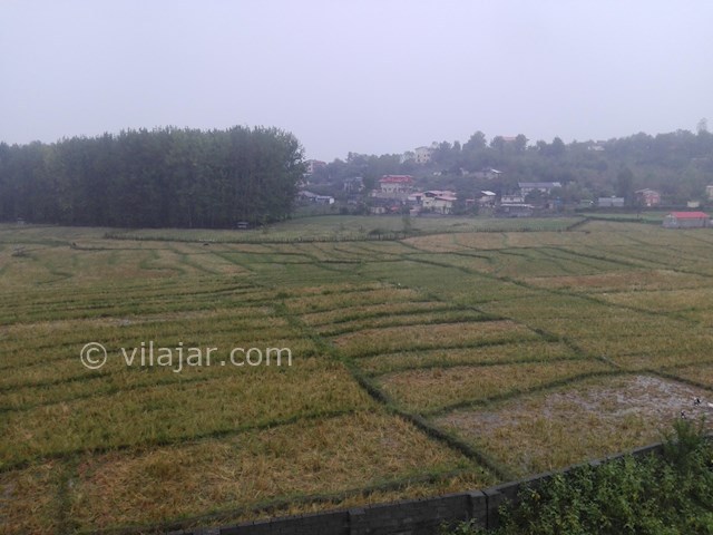 عکس شماره 68125 - اجاره واحد در تالش -