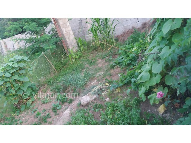 عکس شماره 68241 - اجاره ویلا در کنار جنگل - 