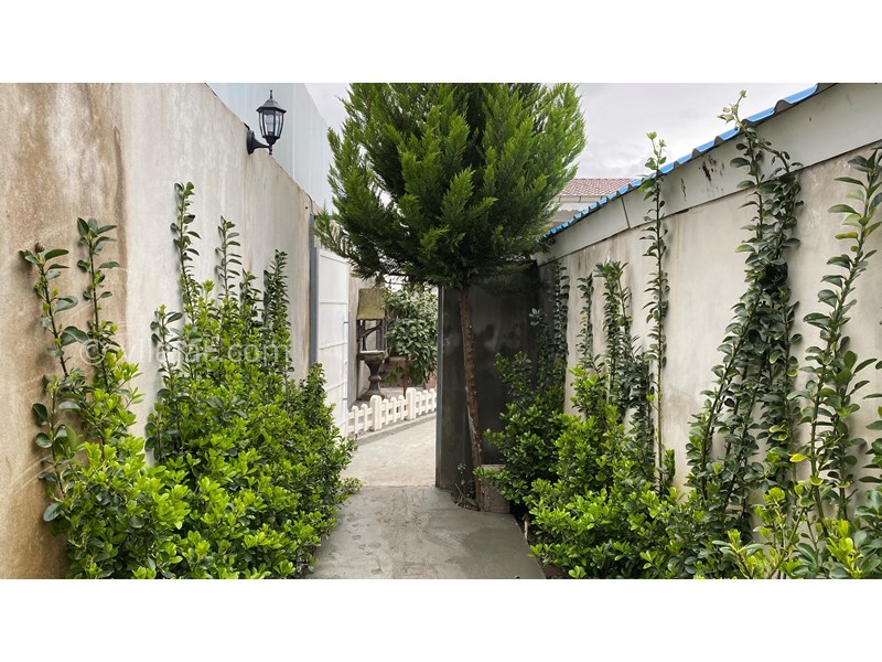 عکس شماره 682800 - ویلا بااستخر روبروی منطقه آزاد انزلی - 