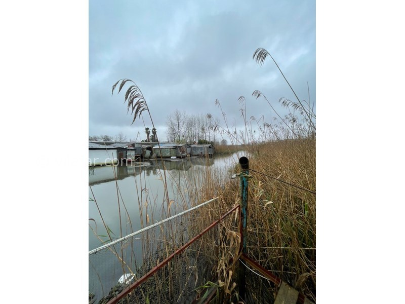 عکس شماره 685154 - اجاره ویلا چوبی در انزلی - 