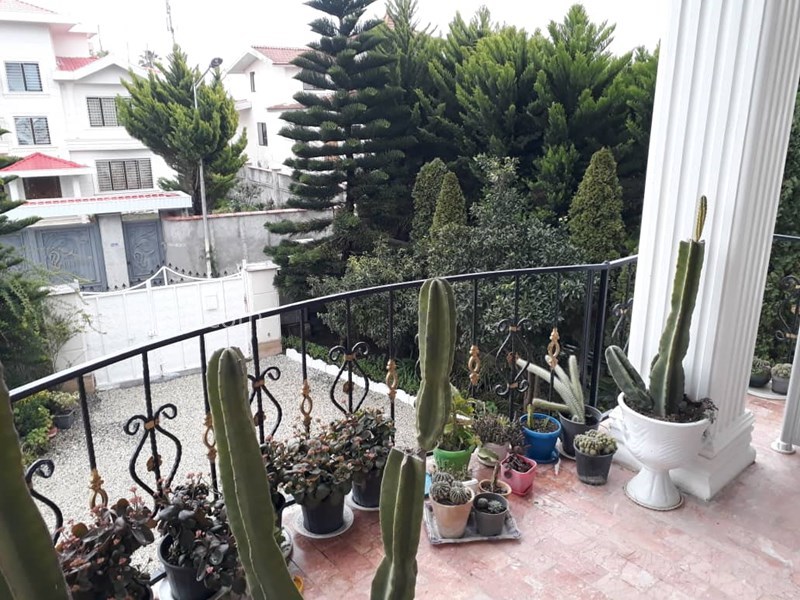 عکس شماره 686532 - اجاره ویلا در رامسر - تراس جلویی 