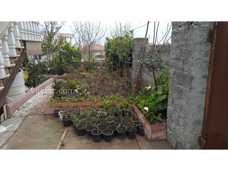 عکس شماره 688038 - اجاره ویلا در رامسر - 