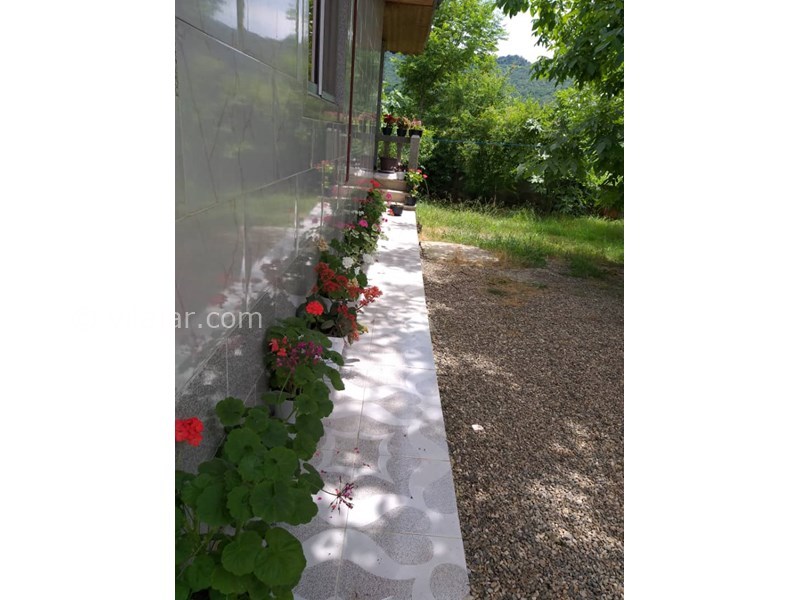 عکس شماره 688089 - اجاره ویلا جنگلی در ماسال - حیاط