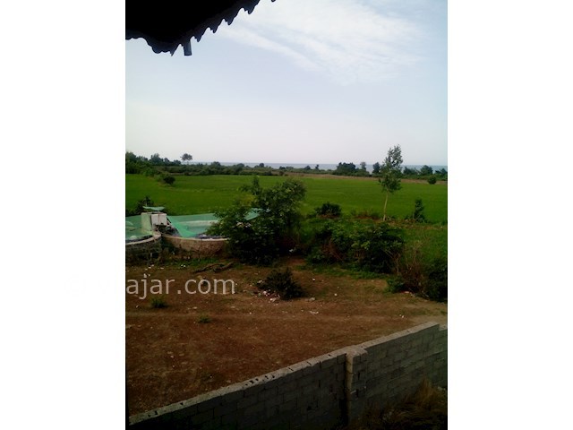 عکس شماره 68851 - اجاره ویلا ساحلی در تالش - 