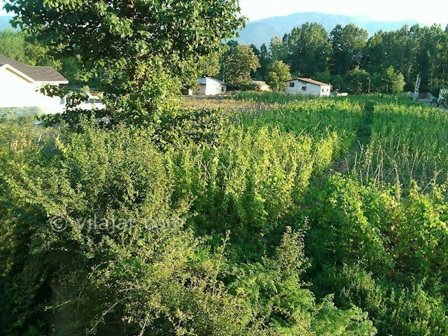 عکس شماره 68899 - ویلای اجاره ای در کلاردشت - 