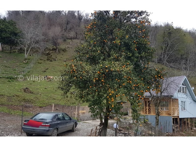 عکس شماره 689162 - اجاره کلبه جنگلی در ماسال - 