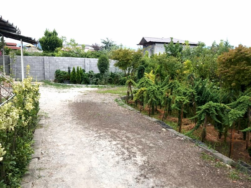 عکس شماره 689733 - اجاره ویلا در شیرود -