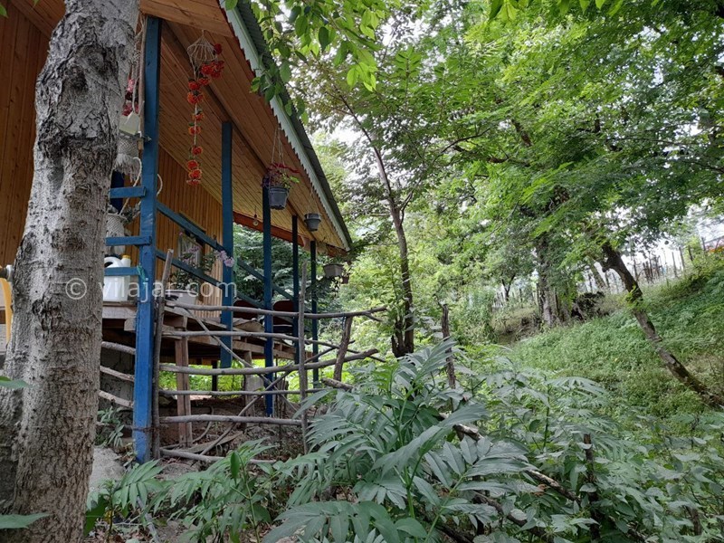 عکس شماره 689958 - کلبه چوبی جنگلی ییلاقات ماسال -