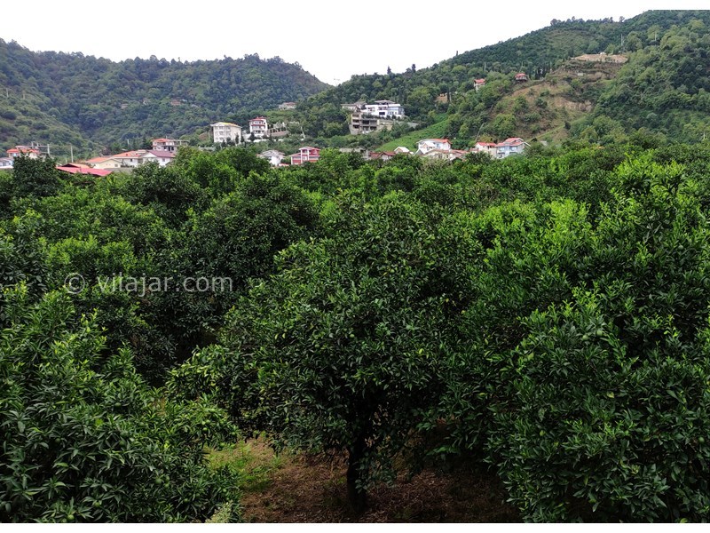 عکس شماره 690092 - اجاره واحد اقامتی مبله در رامسر - ویوی اتاق خواب به سمت جنگل