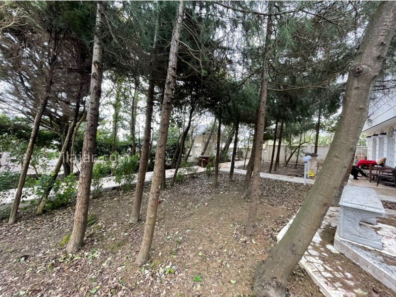 عکس شماره 690447 - اجاره ویلا در رامسر چسبیده به دریا - 