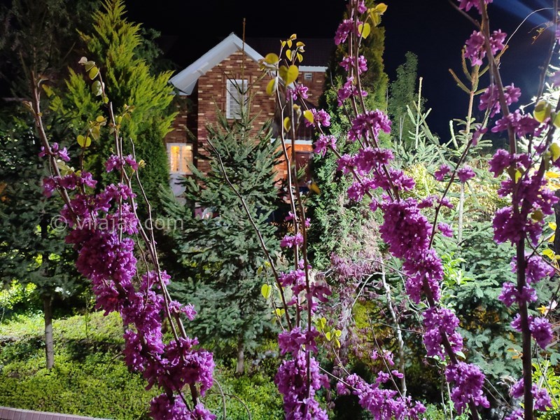 عکس شماره 690787 - اجاره ویلا استخر آبگرم در کلاردشت - 