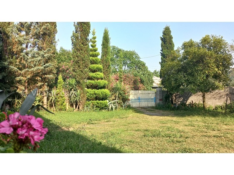 عکس شماره 691261 - رزرو ویلا باغ با چشم انداز جنگلی - 