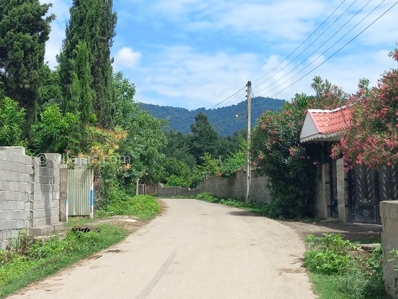 عکس شماره 691266 - رزرو ویلا باغ با چشم انداز جنگلی - 